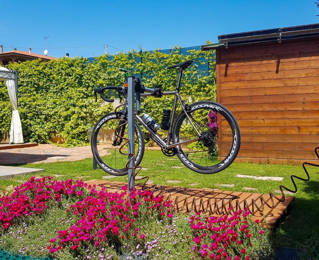 La Mimosa - Bike Friendly Home Rosignano Solvay Extérieur photo